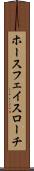 ホースフェイスローチ Scroll