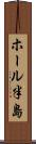 ホール半島 Scroll