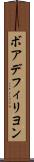 ボアデフィリヨン Scroll