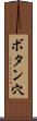 ボタン穴 Scroll