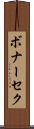 ボナーセク Scroll