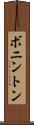 ボニントン Scroll