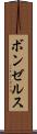 ボンゼルス Scroll
