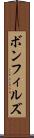 ボンフィルズ Scroll