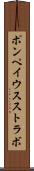ポンペイウスストラボ Scroll