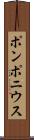 ポンポニウス Scroll