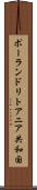 ポーランド・リトアニア共和国 Scroll