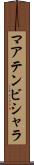 マアテンビシャラ Scroll
