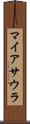 マイアサウラ Scroll