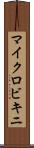 マイクロビキニ Scroll