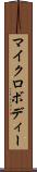 マイクロボディー Scroll