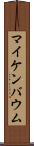 マイケンバウム Scroll