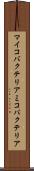 マイコバクテリア Scroll