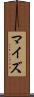 マイズ Scroll