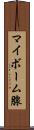 マイボーム腺 Scroll