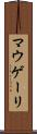 マウゲーリ Scroll