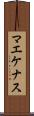 マエケナス Scroll