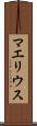 マエリウス Scroll