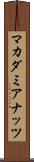 マカダミアナッツ Scroll