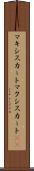 マキシスカート Scroll