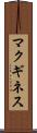 マクギネス Scroll