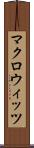 マクロウィッツ Scroll