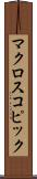 マクロスコピック Scroll