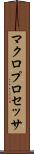 マクロプロセッサ Scroll