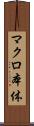 マクロ本体 Scroll