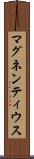 マグネンティウス Scroll
