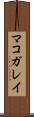 マコガレイ Scroll