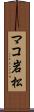 マコ岩松 Scroll