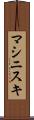 マシニスキ Scroll