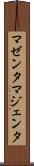 マゼンタ Scroll
