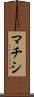 マチシ Scroll