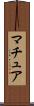 マチュア Scroll