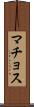 マチョス Scroll