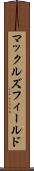 マックルズフィールド Scroll