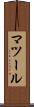 マツール Scroll