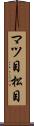 マツ目 Scroll
