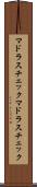 マドラスチェック Scroll