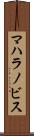 マハラノビス Scroll