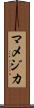 マメジカ Scroll