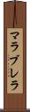 マラブレラ Scroll