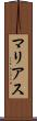 マリアス Scroll