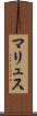 マリュス Scroll
