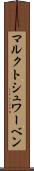 マルクトシュワーベン Scroll