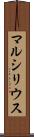 マルシリウス Scroll