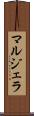マルジェラ Scroll