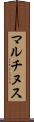 マルチヌス Scroll